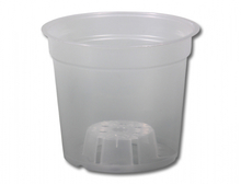 Květináč orchidej ACAMPE 15cm transp.