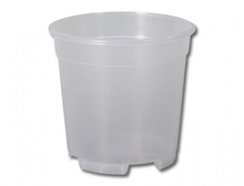 Květináč orchidej CAMBRIA 21cm transp.