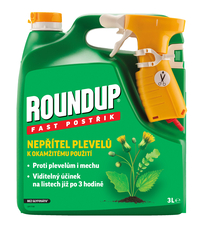 ROUNDUP Fast 3L