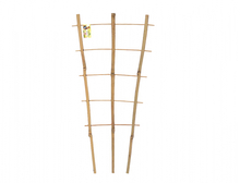 Podpěra bambus mřížka TRELLIS S3 50x150cm/2