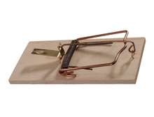 Past na krysy /dřevěná