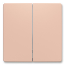 Zoni 6221T-A01010 242 Kryt dělený pro smart switch pudrová