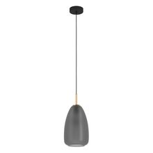 EGLO 900506 Závěsné svítidlo ALOBRASE E27 1x40W
