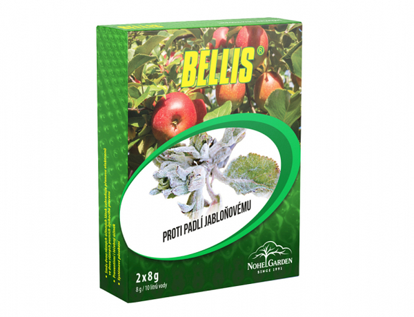 P-Bellis WG 2x8g 1