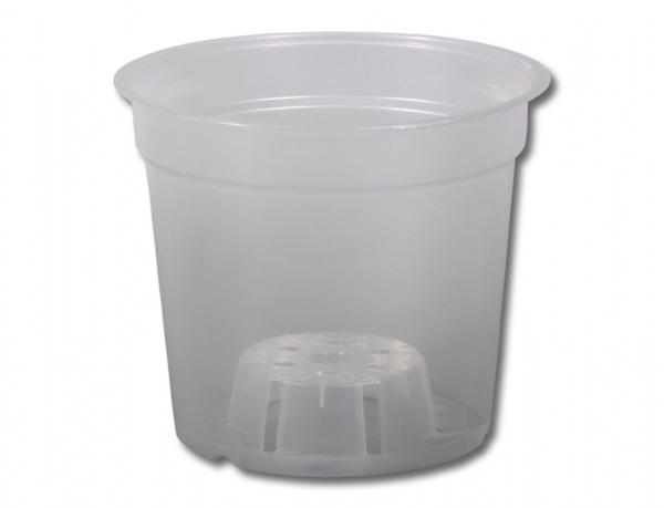 Květináč orchidej ACAMPE 15cm transp. 1