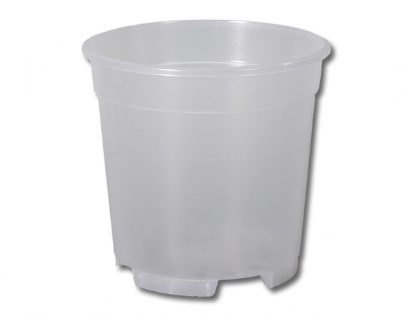 Květináč orchidej CAMBRIA 12cm transp. 1