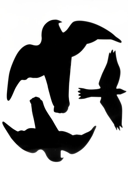 Odpuzovač ptáků silueta dravce 3ks Odpuzovač ptáků silueta dravce 3ks 1