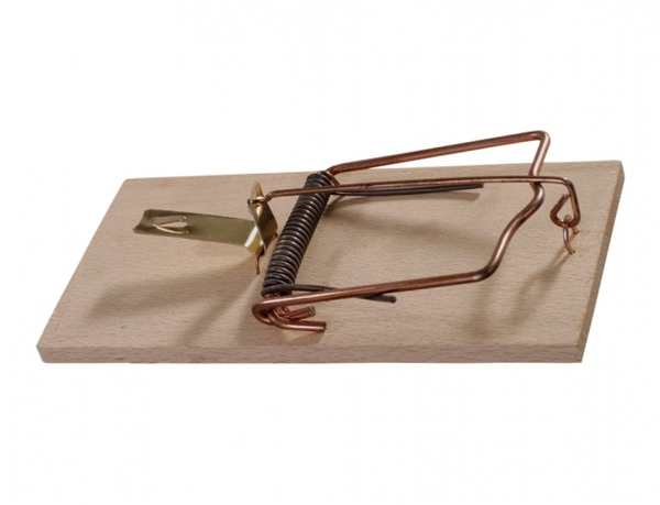 Past na krysy /dřevěná 1