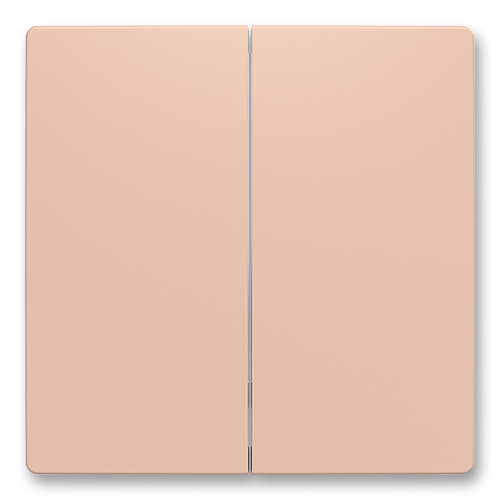 Zoni 6221T-A01010 242 Kryt dělený pro smart switch pudrová 1