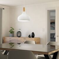 EGLO 96982 Závěsné SABINAR E27 60W 2