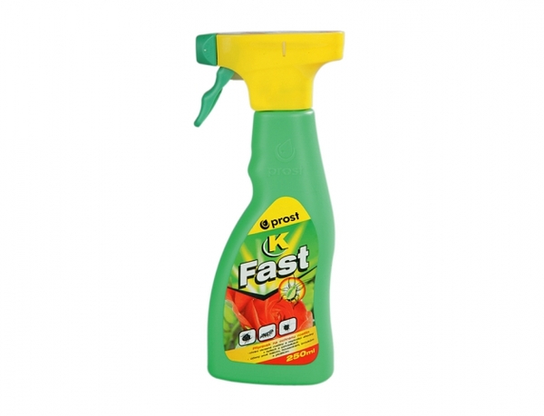P-Fast K 250ml rozp. 1