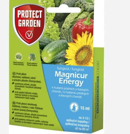 P-Magnicur Energy 15ml/SBM + 1