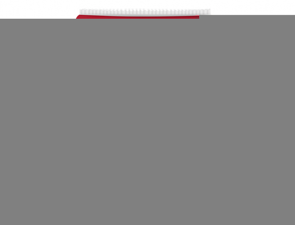 Substrát Pokojové rostliny 10l Hoštický 1